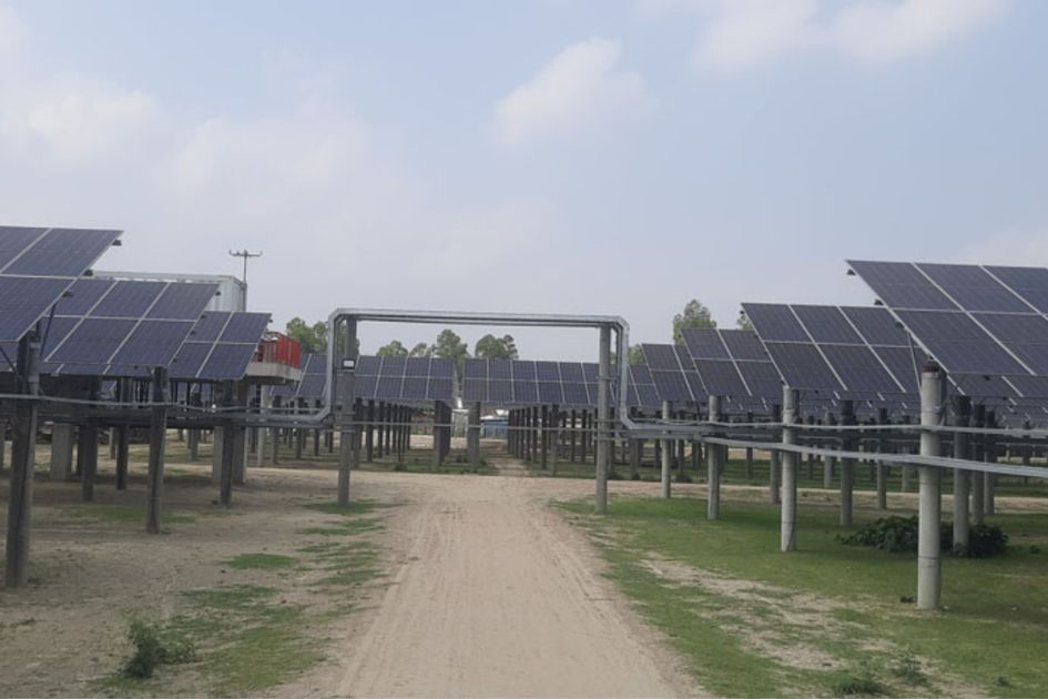 Solar parks transform Pabna char lands as power generation expands