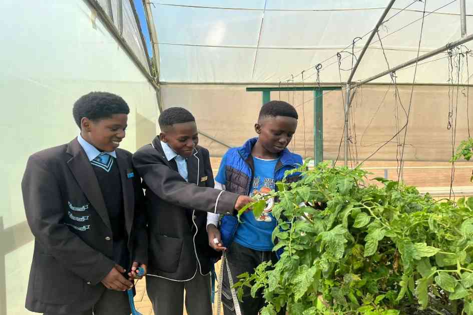 South African Youth Turn to Sustainable Agriculture to Fight Food Insecurity