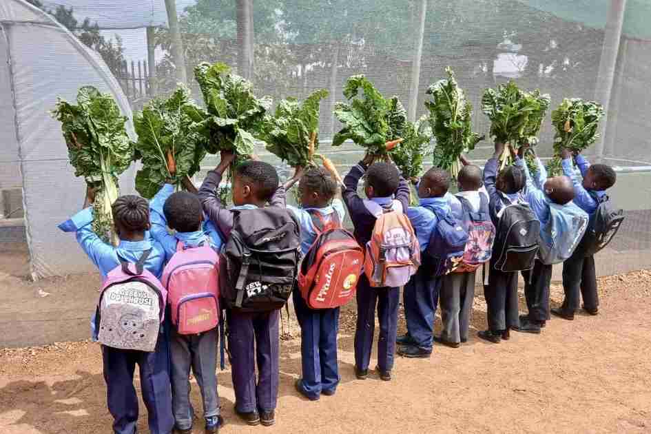 South African Youth Turn to Sustainable Agriculture to Fight Food Insecurity