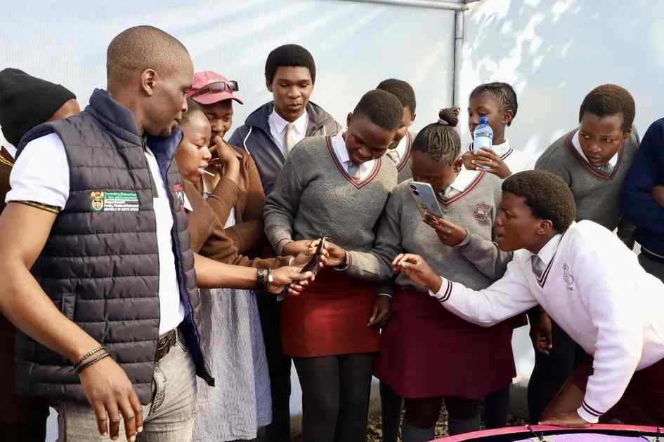 South African Youth Turn to Sustainable Agriculture to Fight Food Insecurity