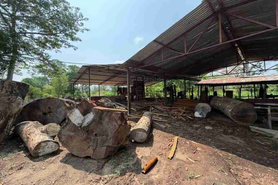 Struggles faced from government agencies while establishing a Sawmill
