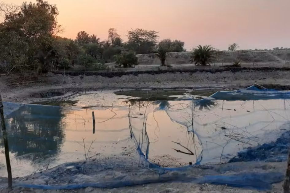 Sundarbans collapse shows climate threat facing delta communities