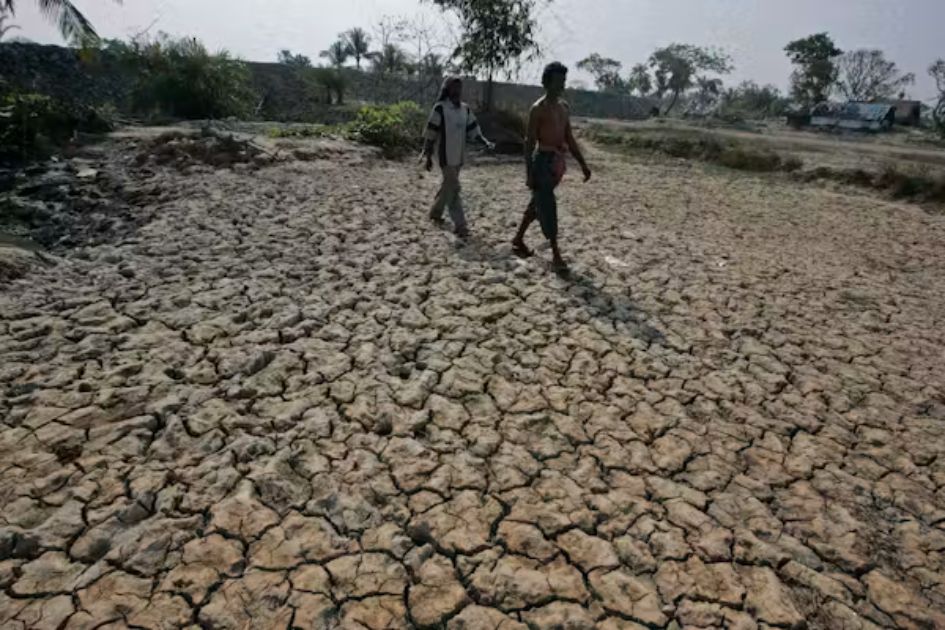 Sundarbans collapse shows climate threat facing delta communities