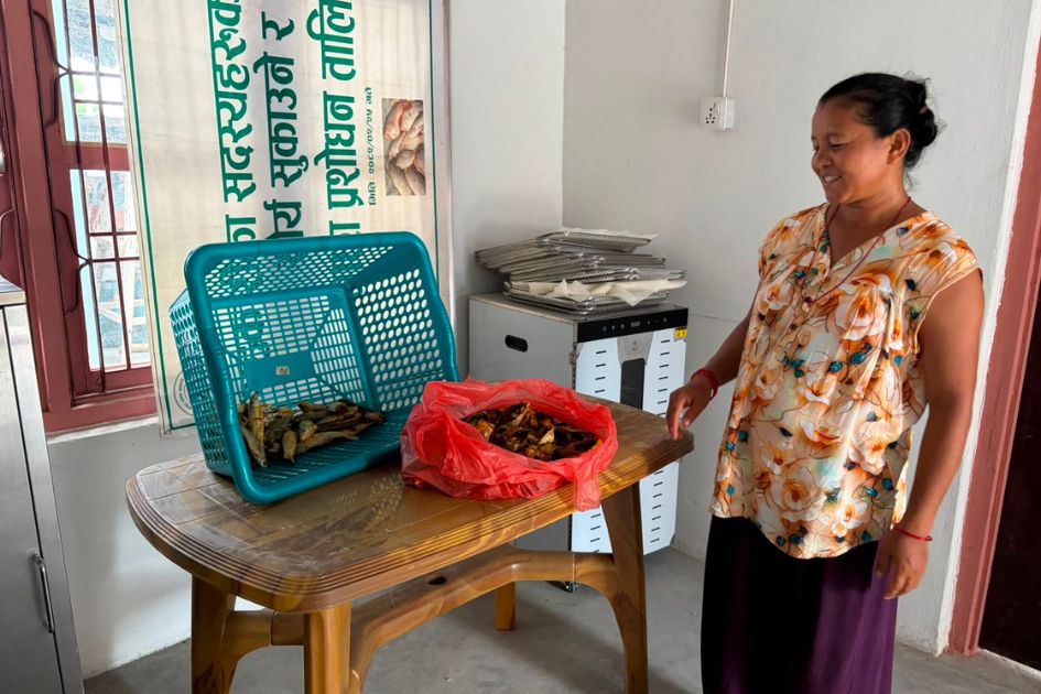 Technology brings new hope to women fish farmers through drying machines
