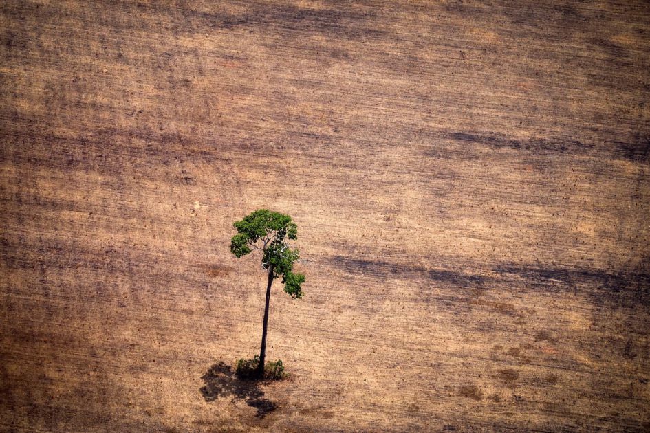 Top 10% consumption causes up to $5.7 trillion in annual environmental damage