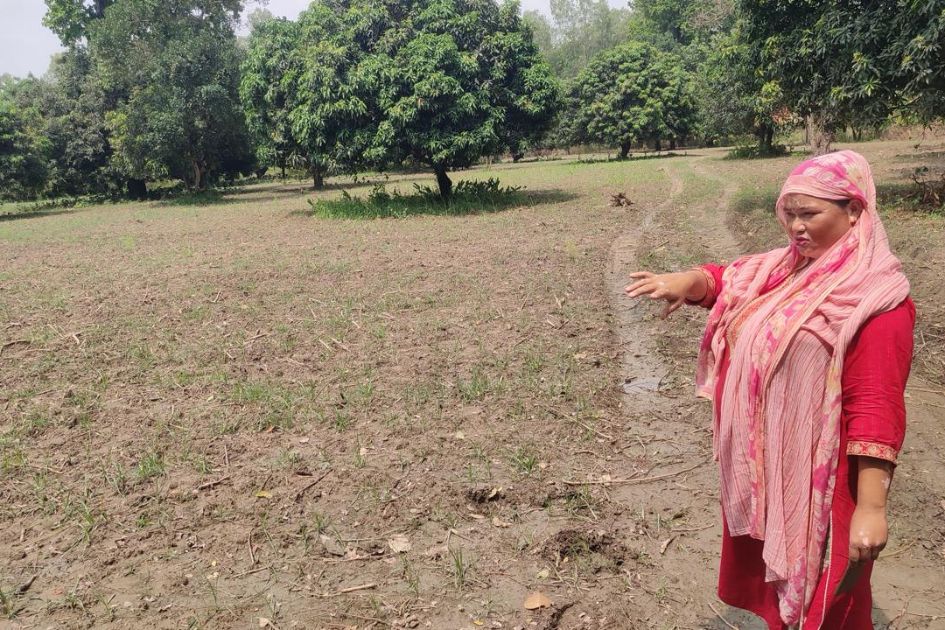 Turmeric farming offers hope of reviving local employment in Nepal village
