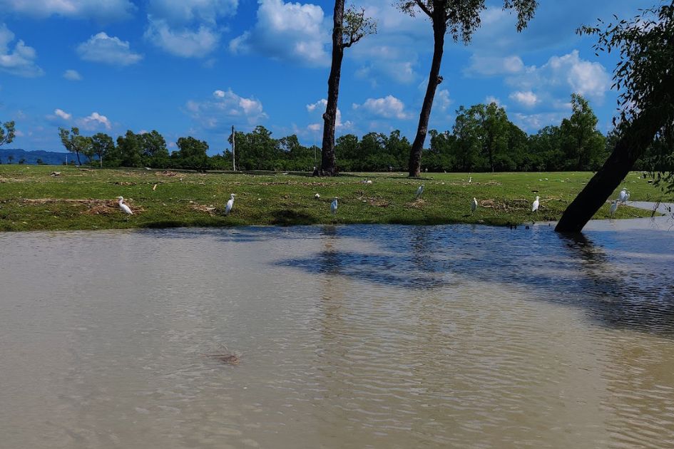Unchecked tourism threatens coastal biodiversity at Guliakhali beach