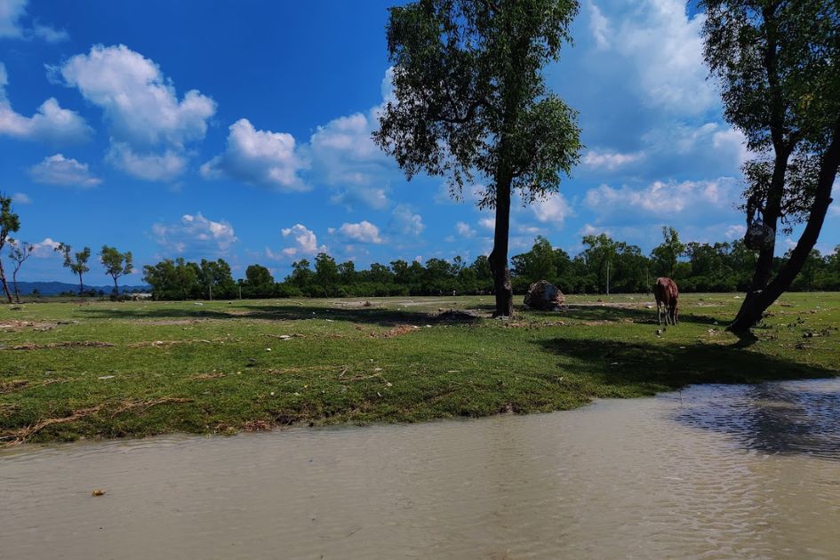 Unchecked tourism threatens coastal biodiversity at Guliakhali beach