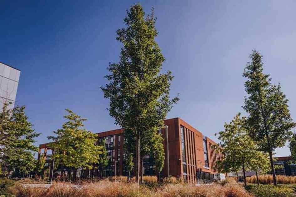 University of Bristol sets revised targets in climate action plan