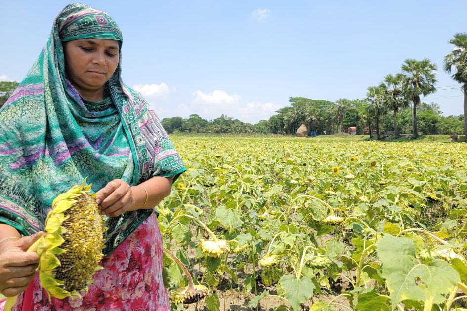 Women farmers drive climate resilience in coastal Bangladesh yet remain invisible