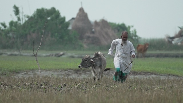 Ships Sail on Dulu Aladar's Land