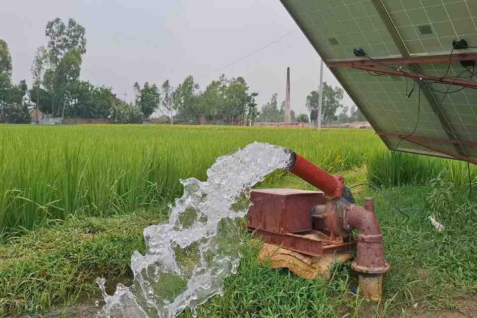 ‘Solar-man’ Soleman drives solar irrigation shift for Bangladeshi farmers